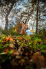 Nude Hiker Girl Forest POV