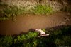 Naked Girl Sunbathing at the Muddy Creek