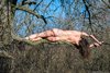 Nudist Girl Sunbathing on a Branch from Behind