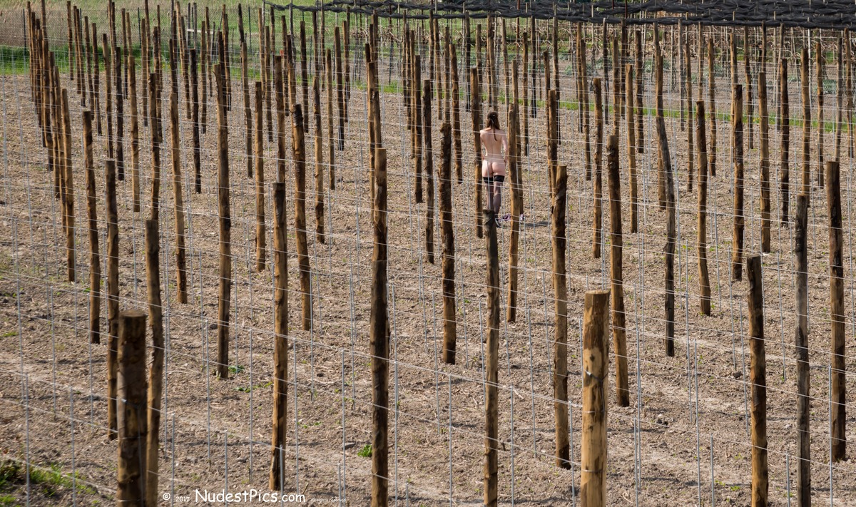 Nude Girl in the Field of Poles